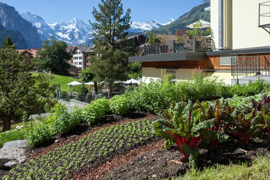 Hotel Schoenegg Wengen Luaran gambar